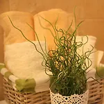 Babic Apartment Split